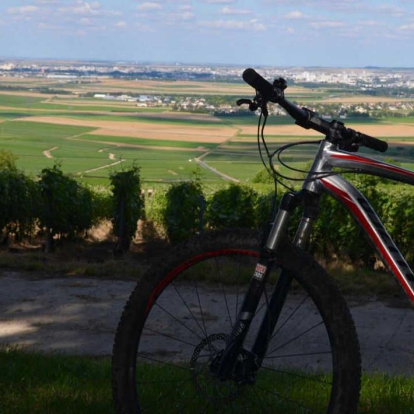 Gite Saint Martin Villa Pargny-les-Reims Exteriör bild